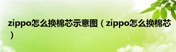 zippo怎么换棉芯示意图【zippo怎么换棉芯】