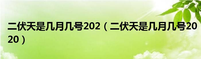 二伏天是几月几号202【二伏天是几月几号2020】