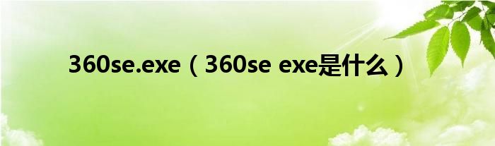 360se.exe【360se exe是什么】