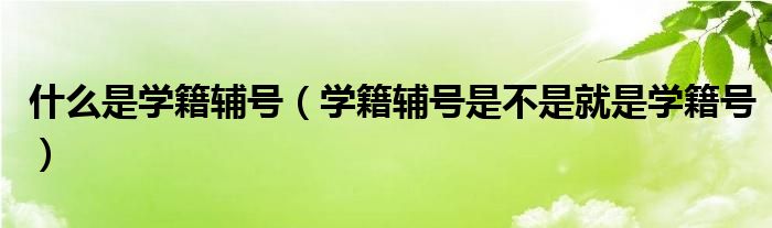 什么是学籍辅号【学籍辅号是不是就是学籍号】