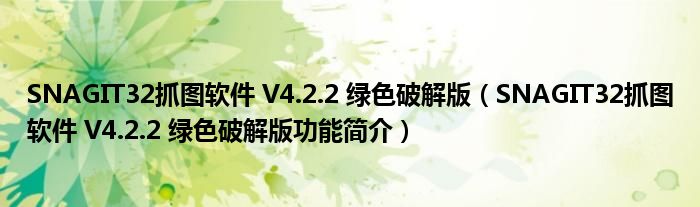 SNAGIT32抓图软件 V4.2.2 绿色破解版【SNAGIT32抓图软件 V4.2.2 绿色破解版功能简介】