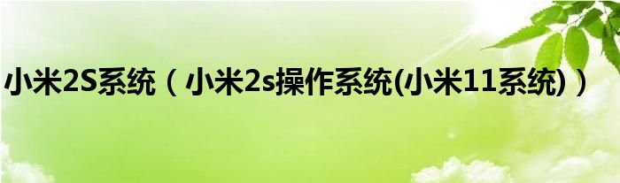 小米2S系统【小米2s操作系统(小米11系统)】