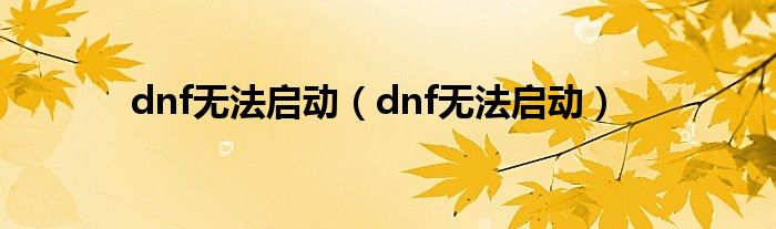 dnf无法启动【dnf无法启动】