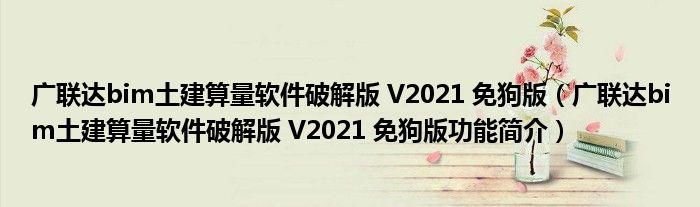 广联达bim土建算量软件破解版 V2021 免狗版【广联达bim土建算量软件破解版 V2021 免狗版功能简介】