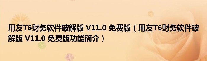 用友T6财务软件破解版 V11.0 免费版【用友T6财务软件破解版 V11.0 免费版功能简介】