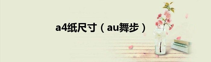 a4纸尺寸【au舞步】