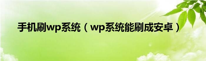 手机刷wp系统【wp系统能刷成安卓】