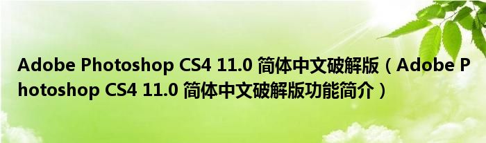 Adobe Photoshop CS4 11.0 简体中文破解版【Adobe Photoshop CS4 11.0 简体中文破解版功能简介】