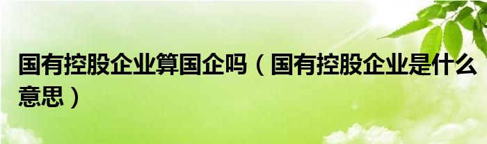 国有控股企业算国企吗【国有控股企业是什么意思】