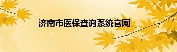 济南市医保查询系统官网