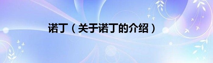 诺丁【关于诺丁的介绍】