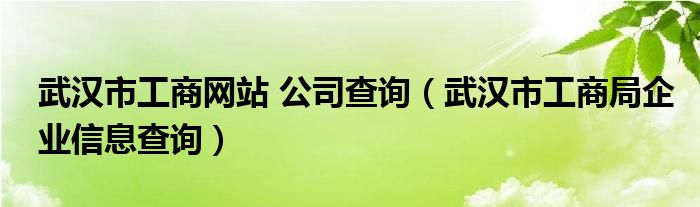 武汉市工商网站 公司查询【武汉市工商局企业信息查询】