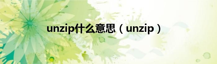 unzip什么意思【unzip】