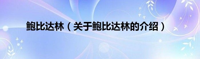 鲍比达林【关于鲍比达林的介绍】