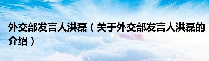 外交部发言人洪磊【关于外交部发言人洪磊的介绍】