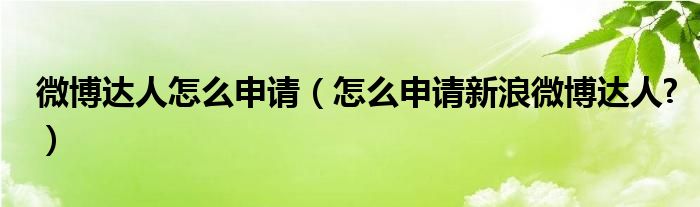 微博达人怎么申请【怎么申请新浪微博达人?】