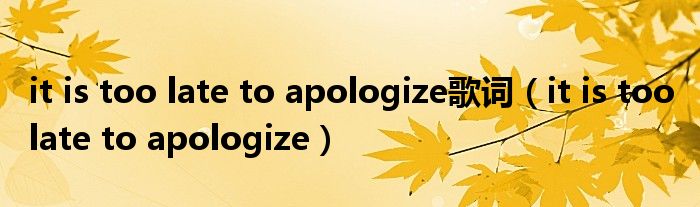 it is too late to apologize歌词【it is too late to apologize】