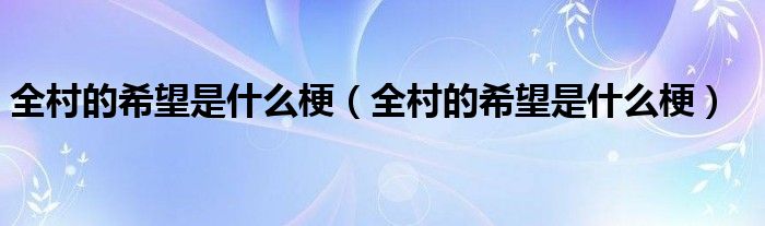 全村的希望是什么梗【全村的希望是什么梗】