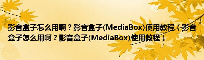 影音盒子怎么用啊？影音盒子(MediaBox)使用教程【影音盒子怎么用啊？影音盒子(MediaBox)使用教程】