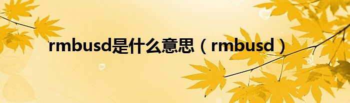 rmbusd是什么意思【rmbusd】