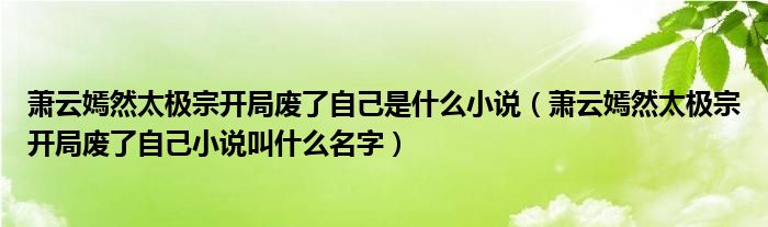 萧云嫣然太极宗开局废了自己是什么小说【萧云嫣然太极宗开局废了自己小说叫什么名字】