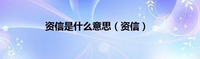 资信是什么意思【资信】