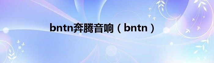 bntn奔腾音响【bntn】