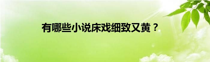 有哪些小说床戏细致又黄？