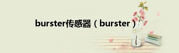 burster传感器【burster】