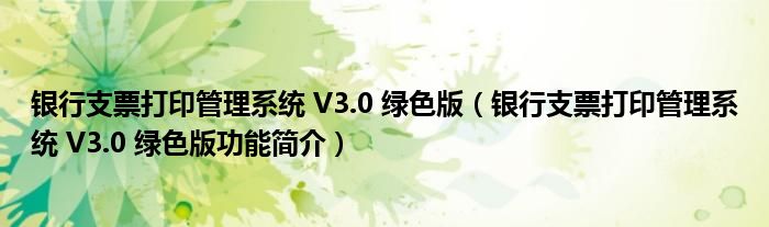 银行支票打印管理系统 V3.0 绿色版【银行支票打印管理系统 V3.0 绿色版功能简介】