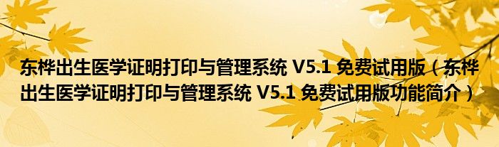 东桦出生医学证明打印与管理系统 V5.1 免费试用版【东桦出生医学证明打印与管理系统 V5.1 免费试用版功能简介】