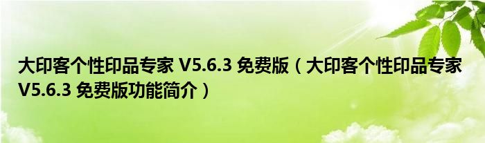 大印客个性印品专家 V5.6.3 免费版【大印客个性印品专家 V5.6.3 免费版功能简介】