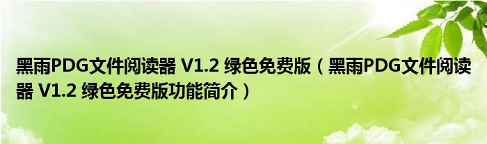 黑雨PDG文件阅读器 V1.2 绿色免费版【黑雨PDG文件阅读器 V1.2 绿色免费版功能简介】