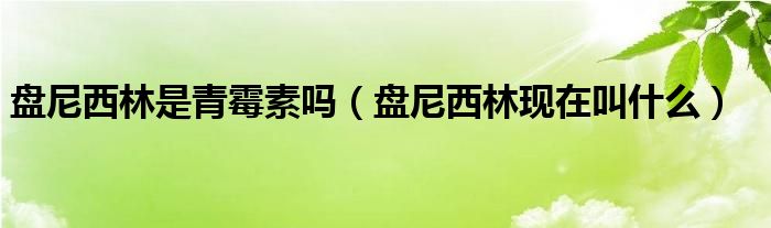 盘尼西林是青霉素吗【盘尼西林现在叫什么】