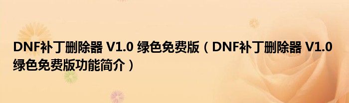 DNF补丁删除器 V1.0 绿色免费版【DNF补丁删除器 V1.0 绿色免费版功能简介】