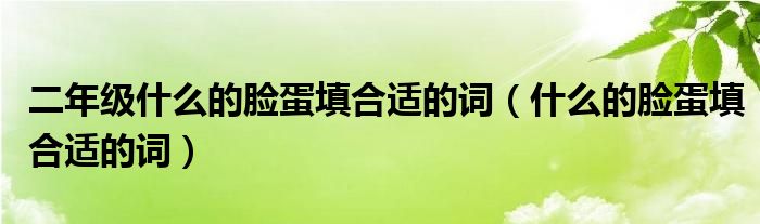 二年级什么的脸蛋填合适的词【什么的脸蛋填合适的词】