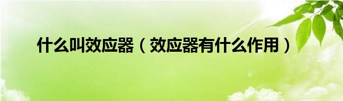 什么叫效应器【效应器有什么作用】