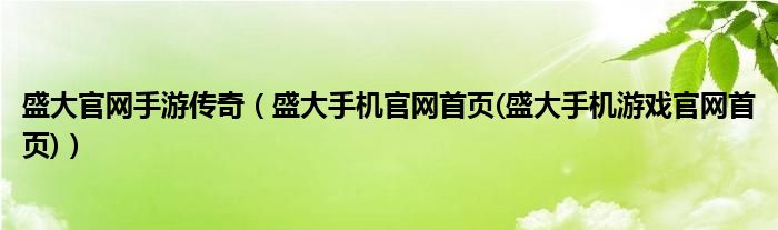 盛大官网手游传奇【盛大手机官网首页(盛大手机游戏官网首页)】