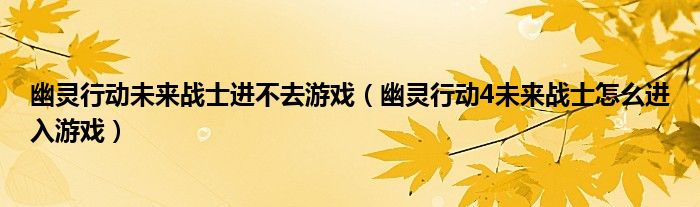 幽灵行动未来战士进不去游戏【幽灵行动4未来战士怎么进入游戏】