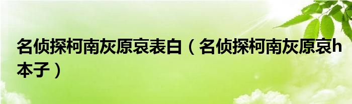 名侦探柯南灰原哀表白【名侦探柯南灰原哀h本子】