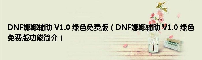 DNF娜娜辅助 V1.0 绿色免费版【DNF娜娜辅助 V1.0 绿色免费版功能简介】