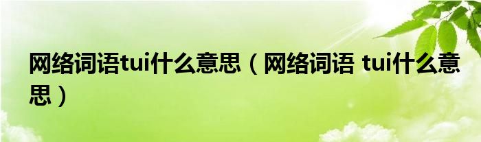 网络词语tui什么意思【网络词语 tui什么意思】