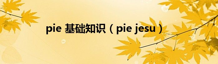 pie 基础知识【pie jesu】