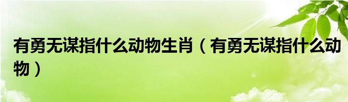 有勇无谋指什么动物生肖【有勇无谋指什么动物】