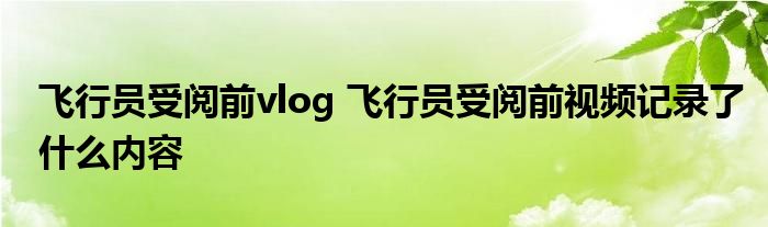 飞行员受阅前vlog 飞行员受阅前视频记录了什么内容