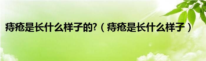 痔疮是长什么样子的?【痔疮是长什么样子】