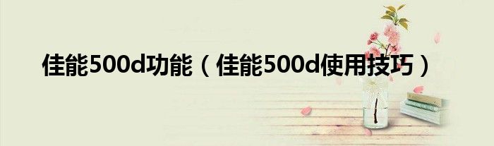 佳能500d功能【佳能500d使用技巧】