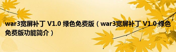 war3宽屏补丁 V1.0 绿色免费版【war3宽屏补丁 V1.0 绿色免费版功能简介】