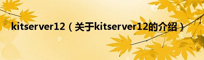 kitserver12【关于kitserver12的介绍】