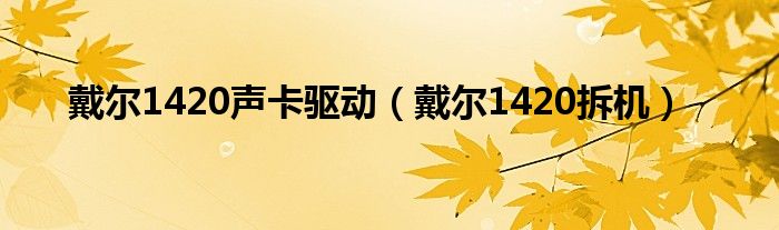 戴尔1420声卡驱动【戴尔1420拆机】